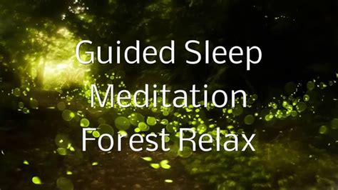 guided sleep meditation forest relax by jason stephenson youtube