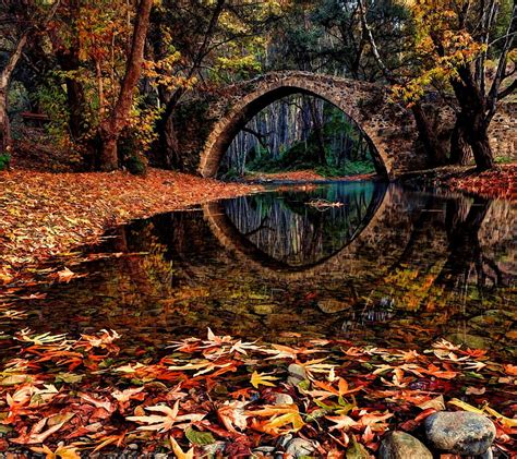 1920x1080px 1080p Free Download Old Forest Bridge Autumn Bridge