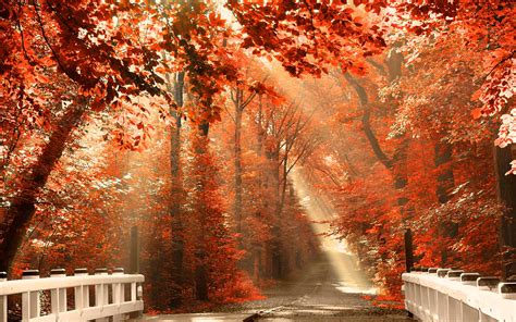 Autumn Pictures For Desktop Backgrounds Wallpaper Cave