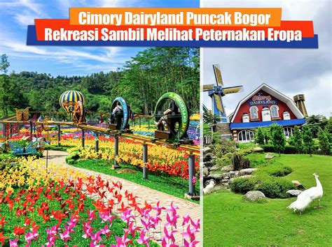 Mampir Ke Peternakan Eropa Di Cimory Dairyland Puncak Bogor Heydayat Com