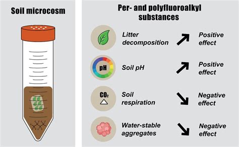 Examining The Effects Of Pfas Forever Chemicals On Soil Structure And