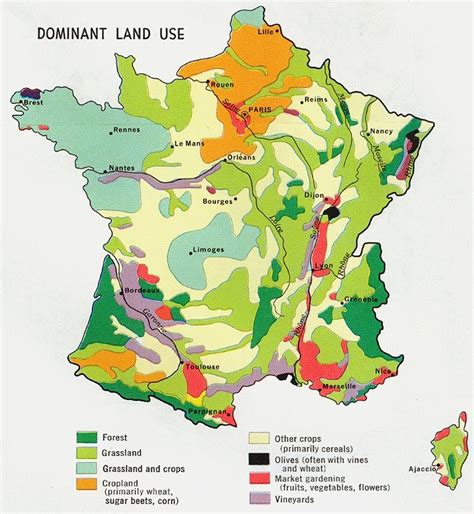 France Dominant Land Use 1972 France Map Political Map Map Tees