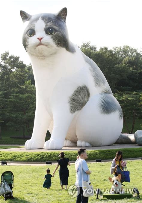 Giant Cat At Olympic Park Yonhap News Agency