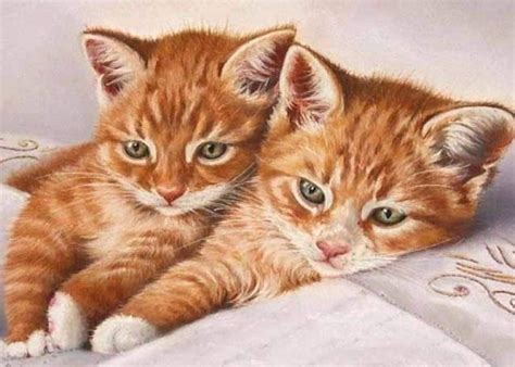 5d Diamond Painting Kit Cats Cross Stitch Kits For Adults Paint By