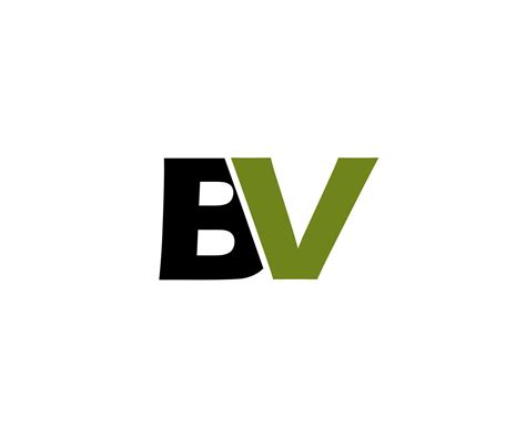 Bv Logo Design Illustrator Templates Creative Market