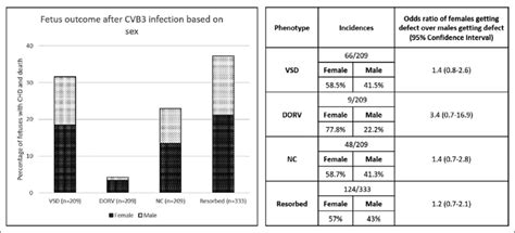 Difference In Incidence Of Observed Defects Following Coxsackievirus B Download Scientific