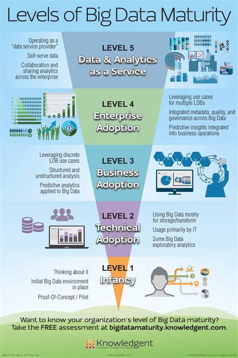 Infographic The 5 Levels Of Big Data Maturity Dataconomy