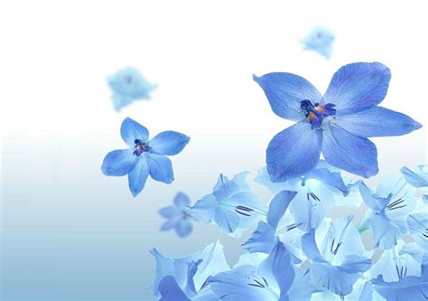 Free 20 Blue Flower Backgrounds In Psd Ai Vector Eps