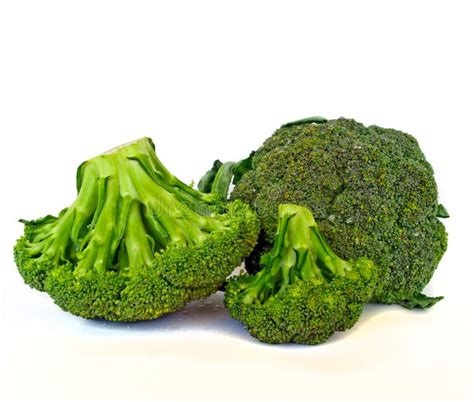 Fresh Green Broccoli Stock Image Image Of Edible Background 10660779