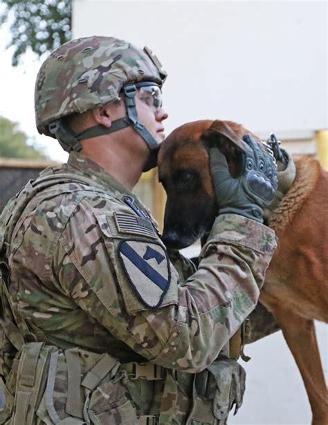 Army Dog Handler Bond In Baghdad Article The United States Army