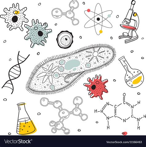 Biology Sketches On School Board Royalty Free Vector Image