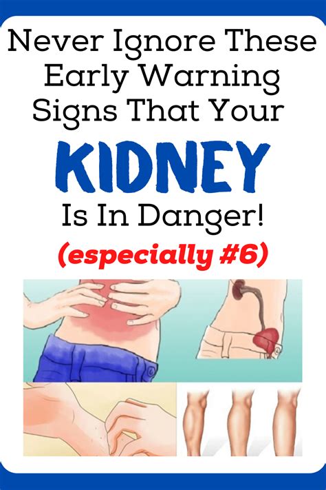 Because the largest part of your liver is on the right side of your abdomen, your right kidney sits a little lower than your left kidney. Are The Kidneys Located Inside Of The Rib Cage : Human ...