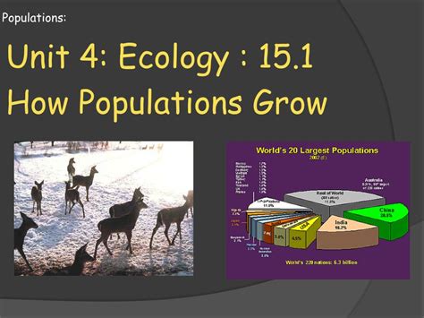 Ppt Populations Powerpoint Presentation Free Download Id2100976