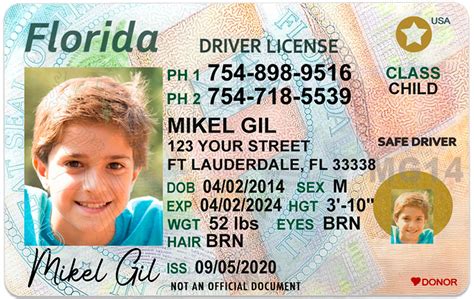 Florida Kid Driver License For Children Under 12 1 Cute Pooch