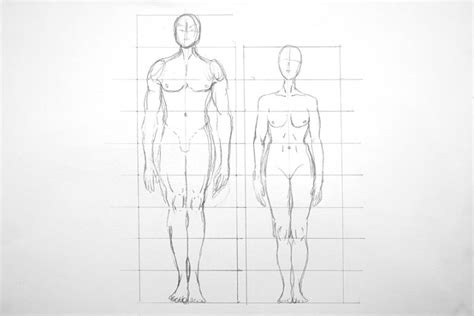 How To Draw Human Proportions Scale The Figure Correctly