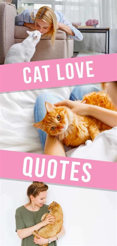 Cat Love Quotes 25 Ways To Express Your Admiration