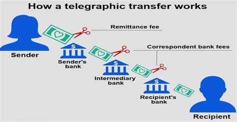 What Is Telegraphic Transfer Learn How To Make A Telegraphic Transfer