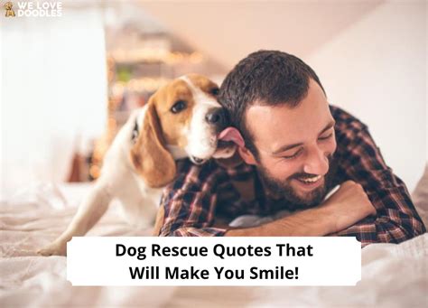 66 Dog Rescue Quotes That Will Make You Smile 2024 We Love Doodles