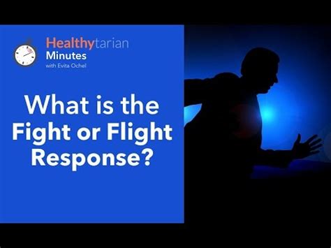The term fight or flight gets misused and abused fairly often. What is the Fight or Flight Response? (Healthytarian ...