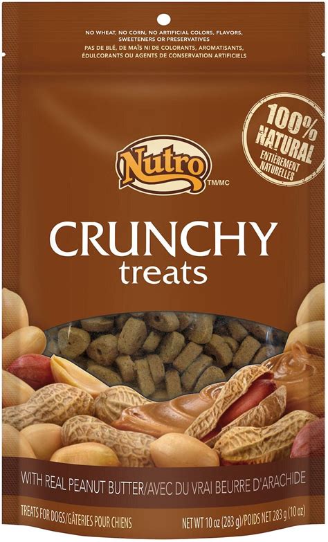 Nutro Crunchy Real Peanut Butter Dog Treats 10 Oz Bag