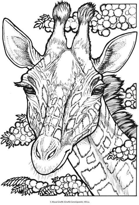 Adult Coloring Books Wild Animals Coloring Pages