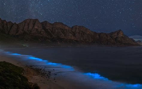 Photographer Captures The Magic Of Cape Towns Glowing Bioluminescent