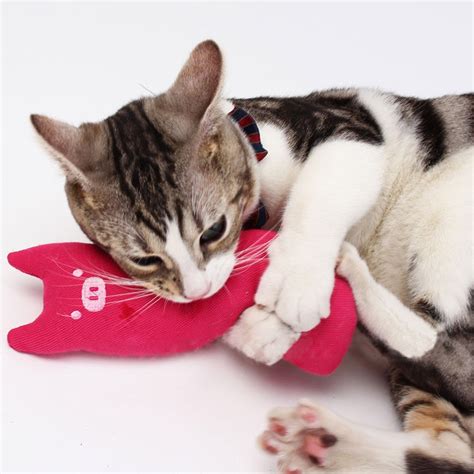Scratch Crazy Cat Kicker Catnip Toy Cute Pillow Teeth Grinding Toys Wxv