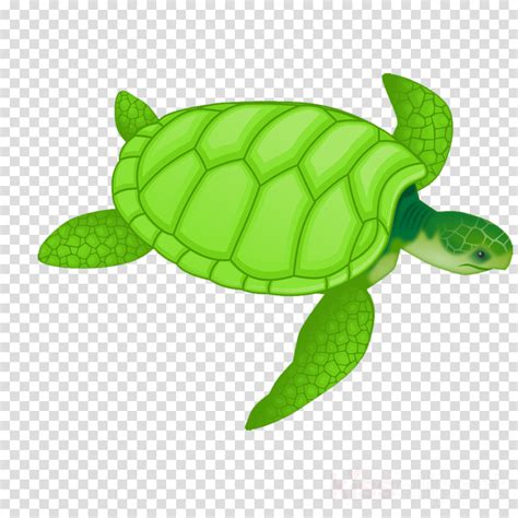 Sea Turtle Green Green Sea Turtle Tortoise Turtle Clipart Sea Turtle