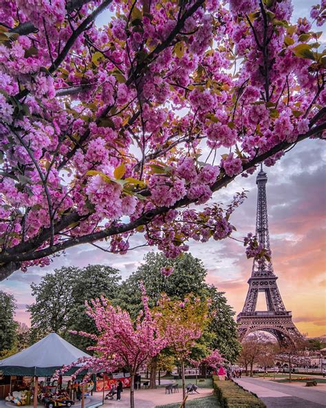 Spring In Paris France Rmostbeautiful