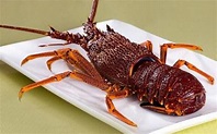 澳洲龙虾，它是“澳洲三宝”之一，价格居高不下_百科TA说