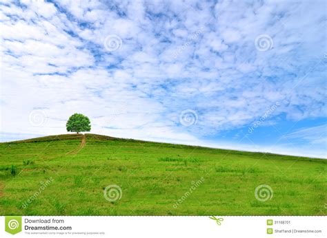 Blue Sky Green Fields Stock Image Image 31168701
