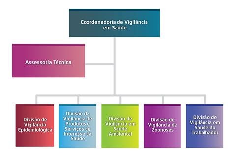 Um Determinado Hospital Possui Um Total De 3 Ortopedistas