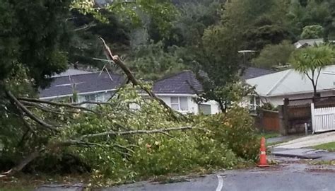 Eleven Thousand Homes Remain Without Power After Ferocious Storm Newshub