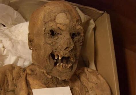 How to keep a mummy 2018 stream in full hd online, with english subtitle, free to play. Using mummy, Israeli researchers find pre-modern genetic predisposition to cancer - HEALTH ...