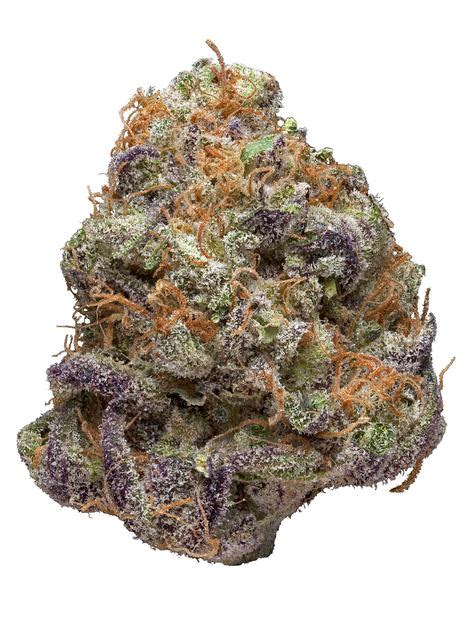 Purple Og Strain Hybrid Cannabis Video Review Hytiva