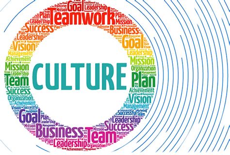 Healthy Culture The Impact On Organizational Success