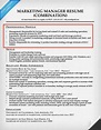 Resume Profile Examples & Writing Guide | Resume Companion