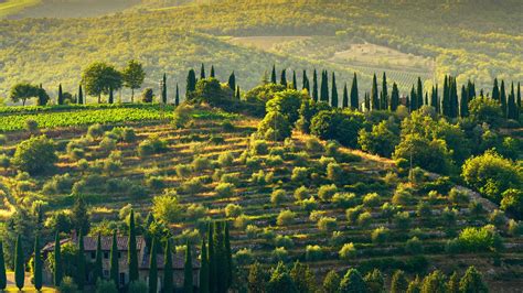 Il Chianti Classico E La Val Delsa Tif Viaggi