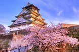 Best Osaka Attractions and Activities: Top 10Best Attraction Reviews