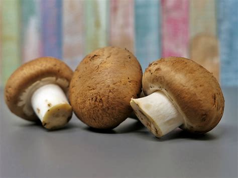 5 Health Benefits Of Mushrooms