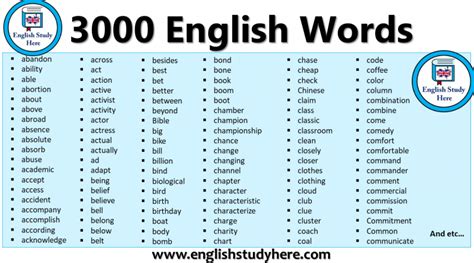 Most Important Vocabulary Archives English Study Here