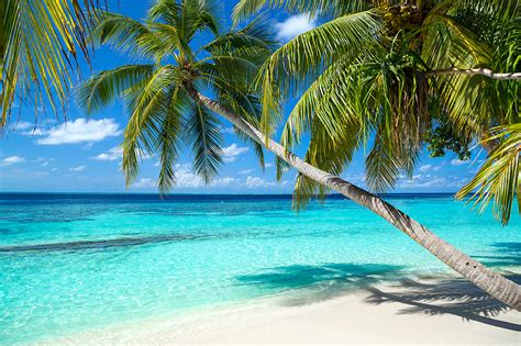 Caribbean Vacation Packages With Airfare All Inclusive
