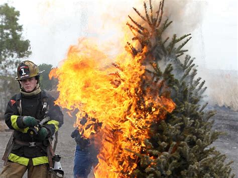 Oh Christmas Tree Stay Hydrated And Dont Catch Fire Shots
