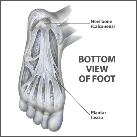 Plantar Faciitis And Physiotherapy Treatment