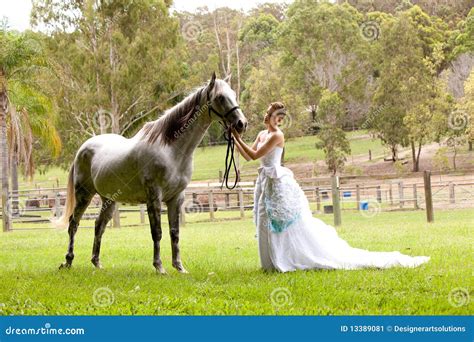 Mujer Joven Con El Caballo Blanco Imagen De Archivo Imagen De Hermoso