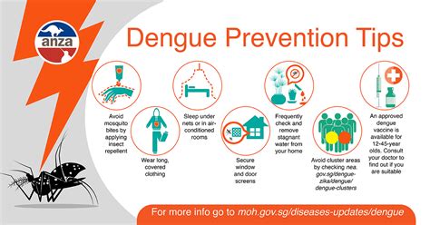 Dengue Prevention Tips Anza