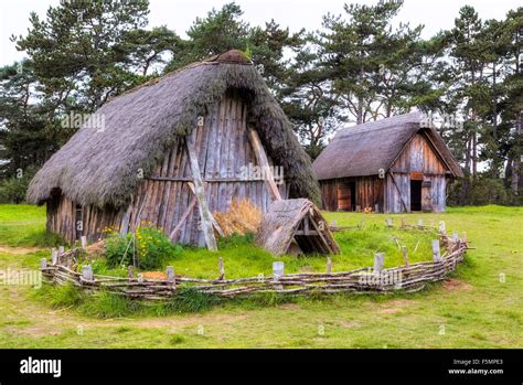 Suffolk England Viking Longhouse Saxon