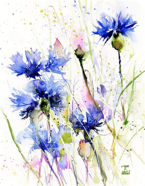Bleuet Aquarelle Art Print Peinture Florale Bleue Par Bobaj Etsy