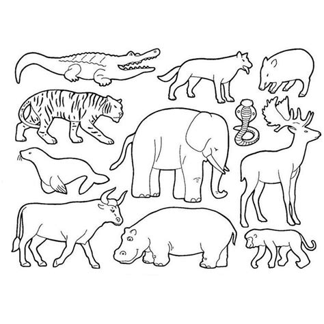 Coloriage Animaux De La Savane Silhouette Stencil Safari Theme Animal