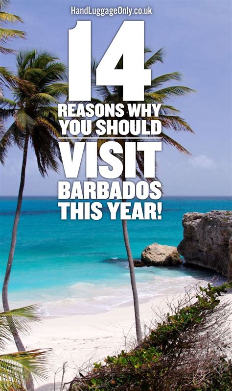 14 reasons why you should visit barbados this year hand luggage only travel food